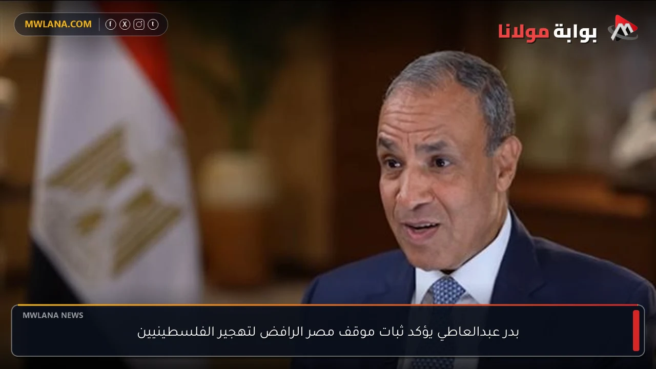 بدر عبدالعاطي يؤكد ثبات موقف مصر الرافض لتهجير الفلسطينيين
