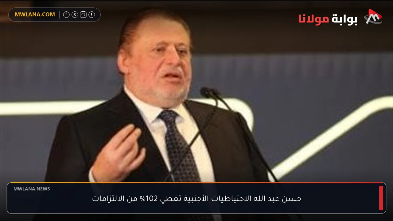 حسن عبد الله الاحتياطيات الأجنبية تغطي 102% من الالتزامات