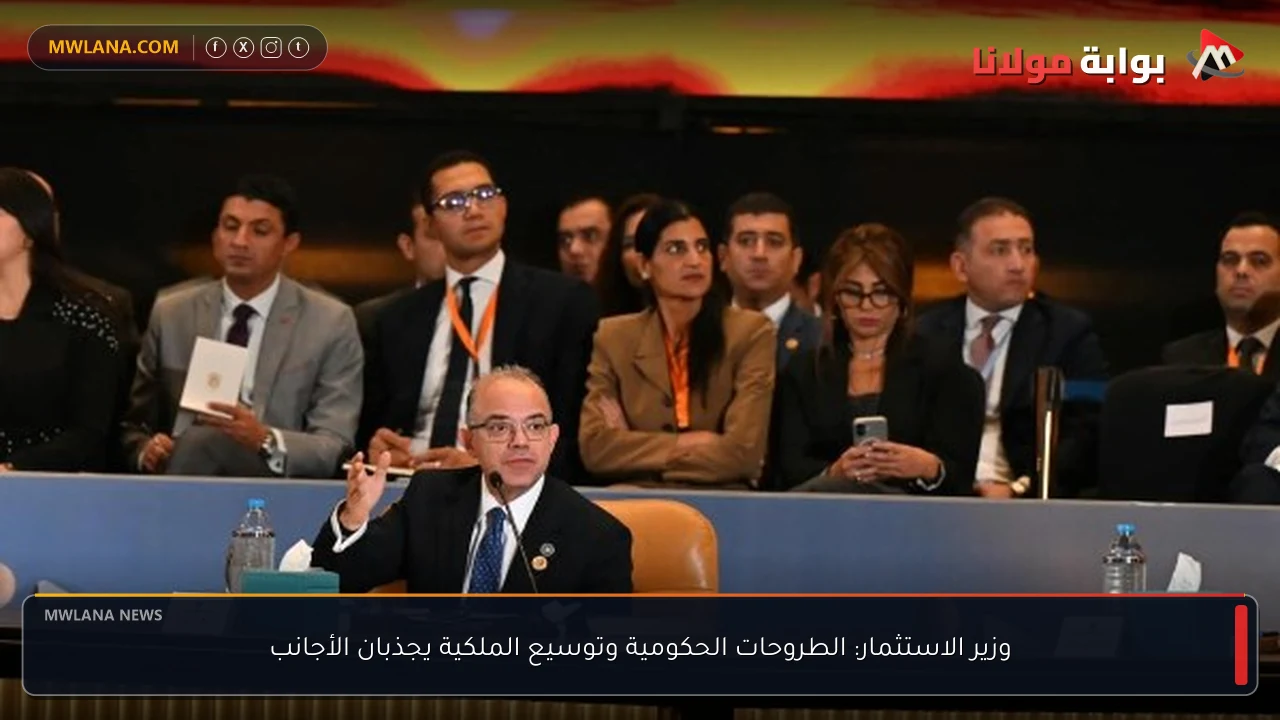 وزير الاستثمار: الطروحات الحكومية وتوسيع الملكية يجذبان الأجانب
