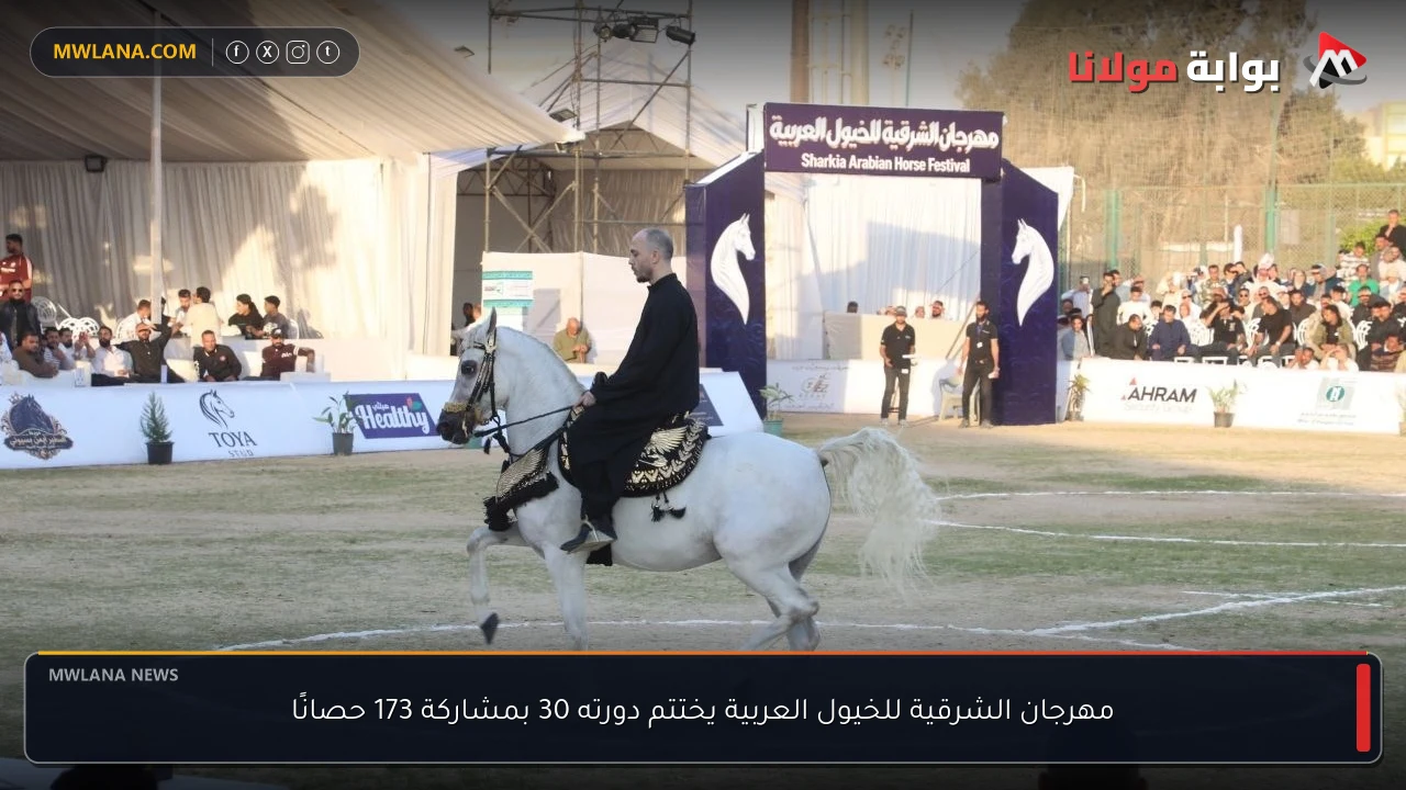 مهرجان الشرقية للخيول العربية يختتم دورته 30 بمشاركة 173 حصانًا