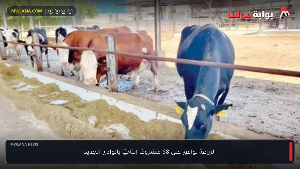 الزراعة توافق على 68 مشروعًا إنتاجيًا بالوادي الجديد