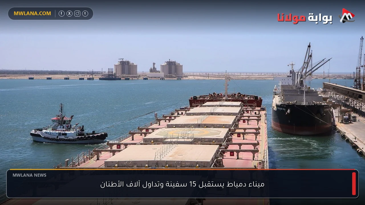 ميناء دمياط يستقبل 15 سفينة وتداول آلاف الأطنان