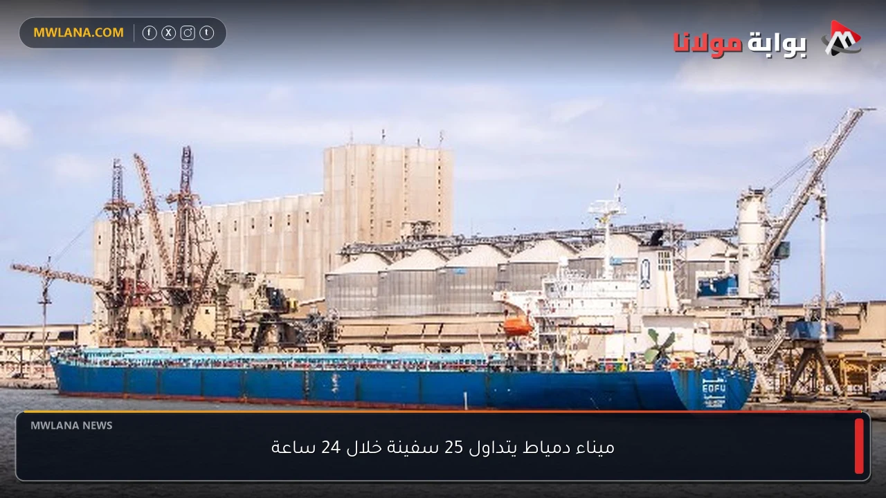 ميناء دمياط يتداول 25 سفينة خلال 24 ساعة