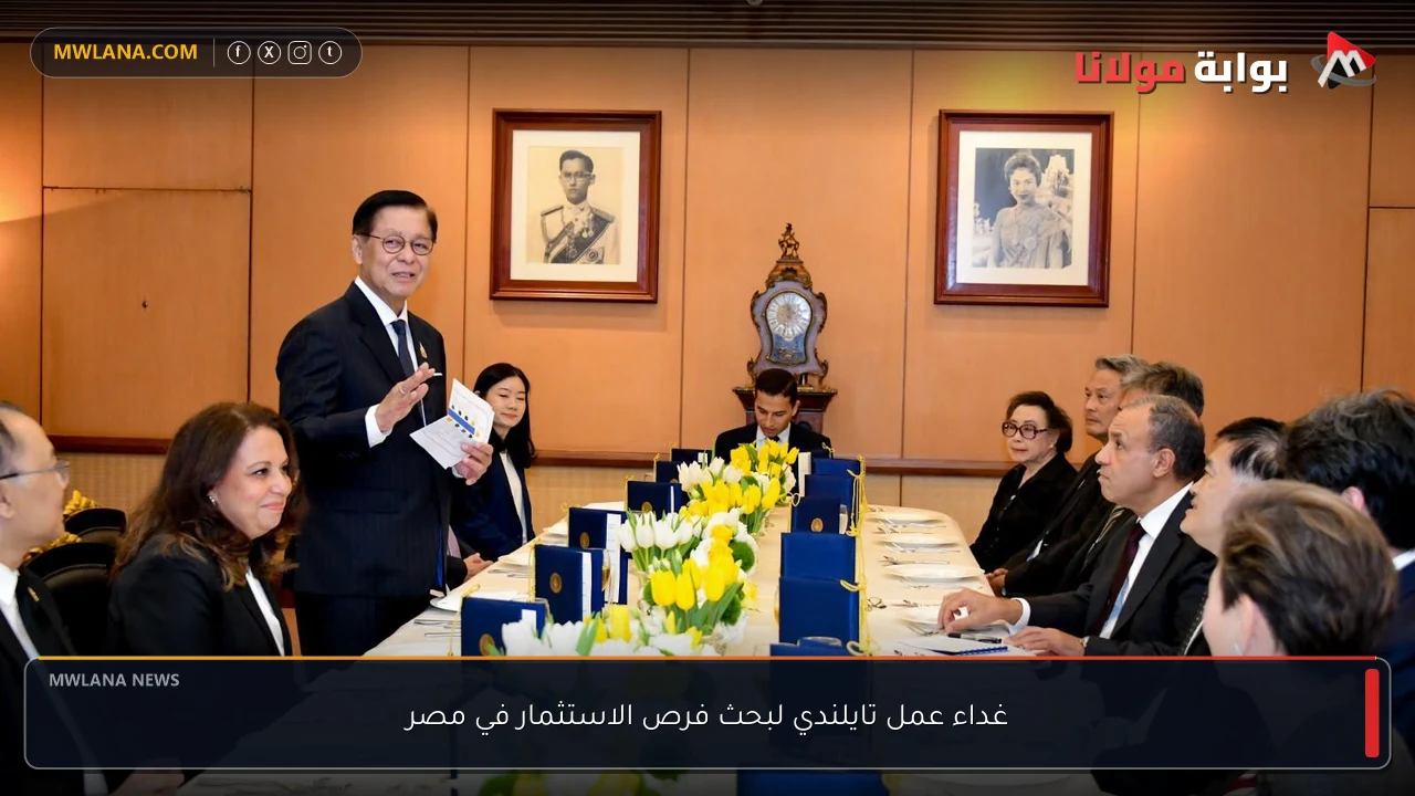 غداء عمل تايلندي لبحث فرص الاستثمار في مصر