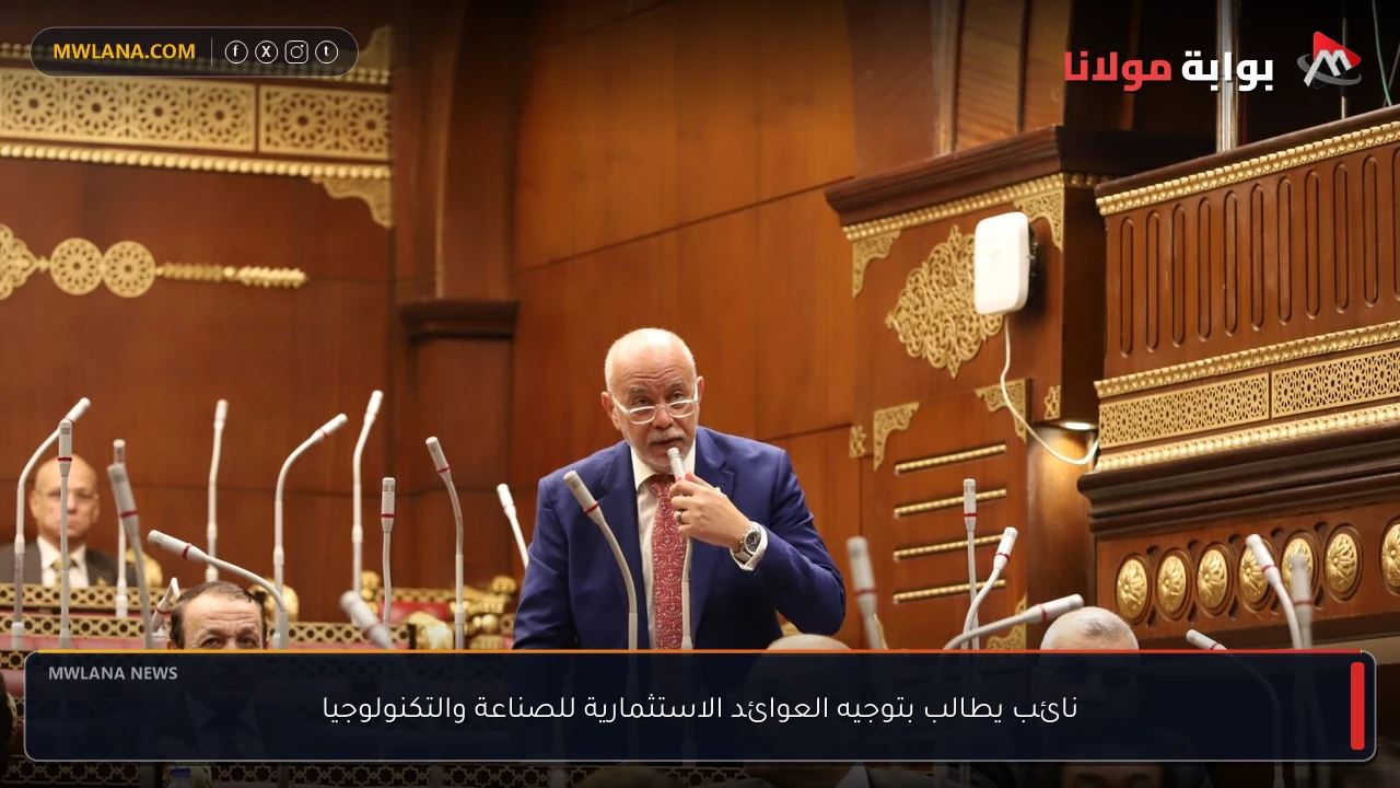 نائب يطالب بتوجيه العوائد الاستثمارية للصناعة والتكنولوجيا