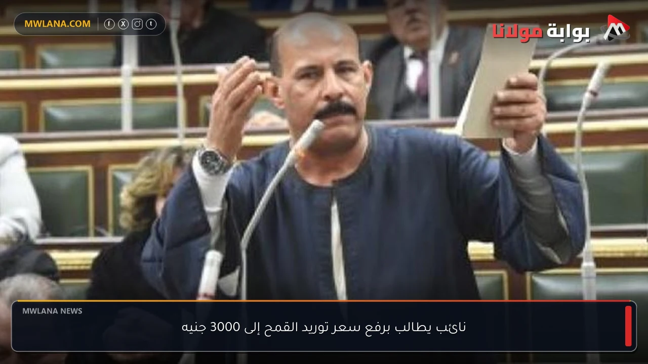 نائب يطالب برفع سعر توريد القمح إلى 3000 جنيه