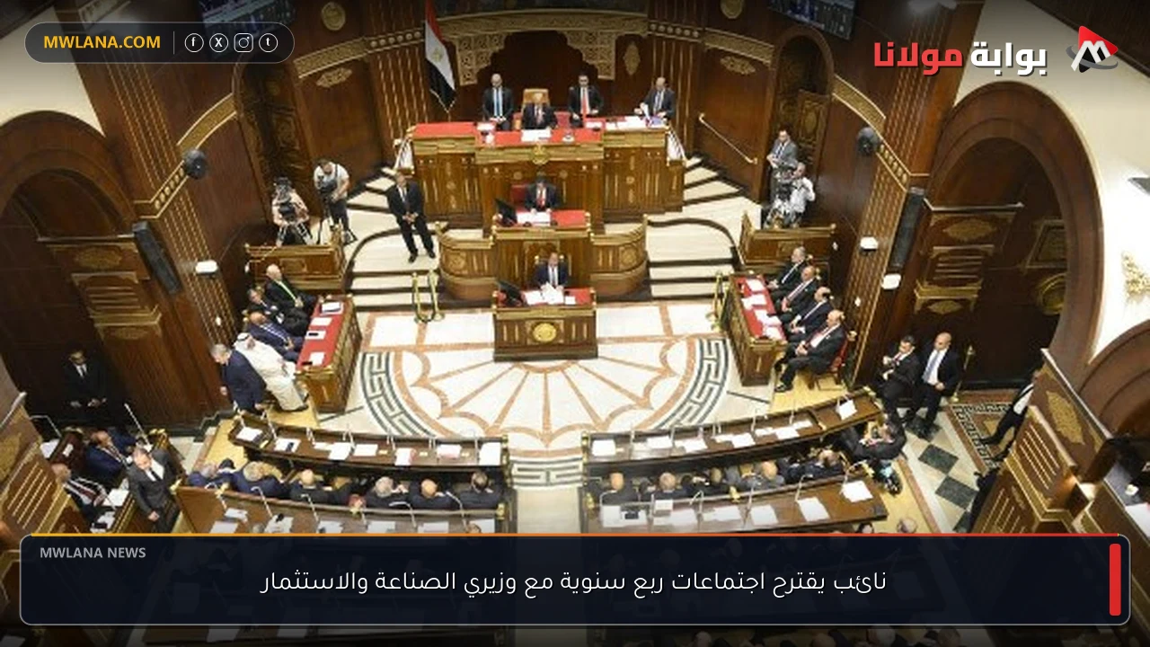 نائب يقترح اجتماعات ربع سنوية مع وزيري الصناعة والاستثمار