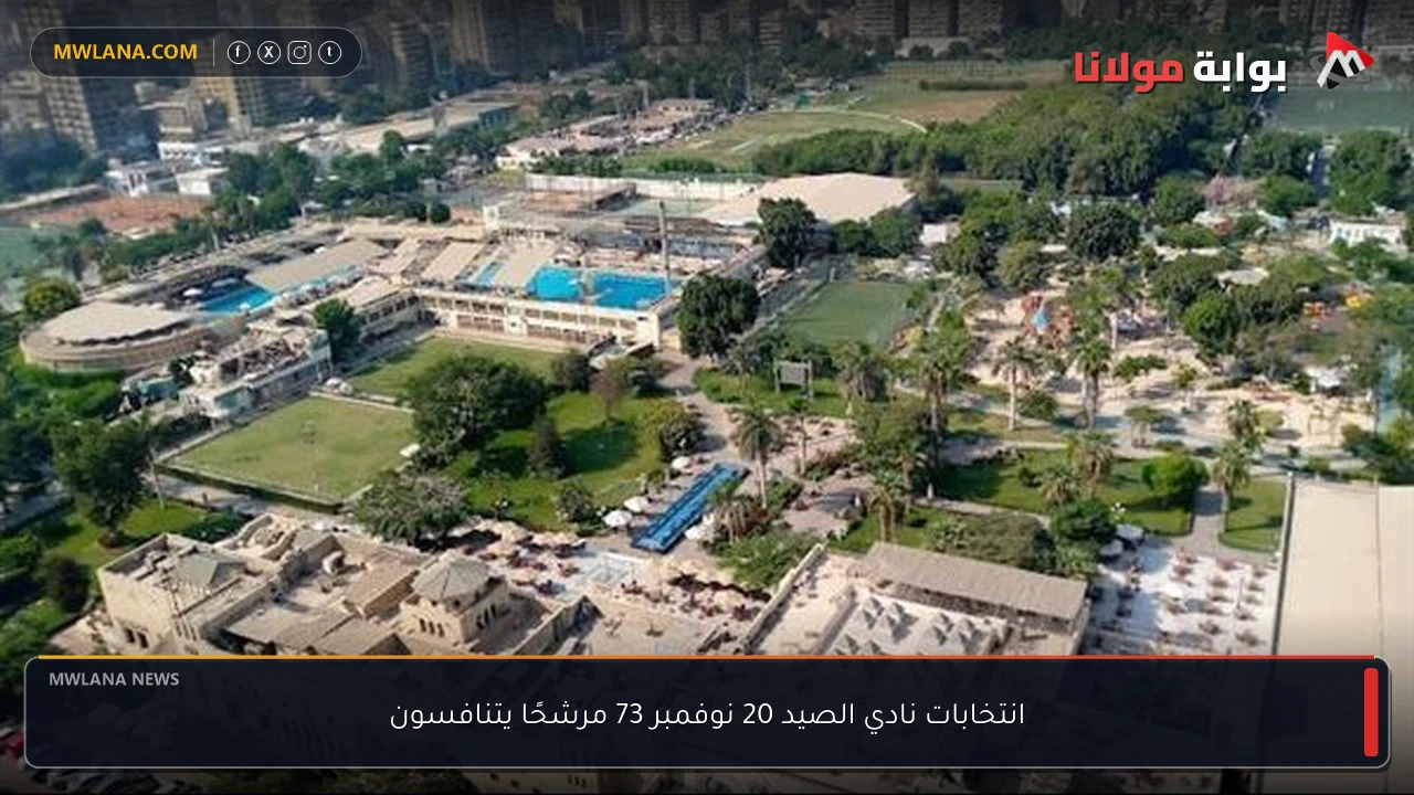 انتخابات نادي الصيد 20 نوفمبر 73 مرشحًا يتنافسون