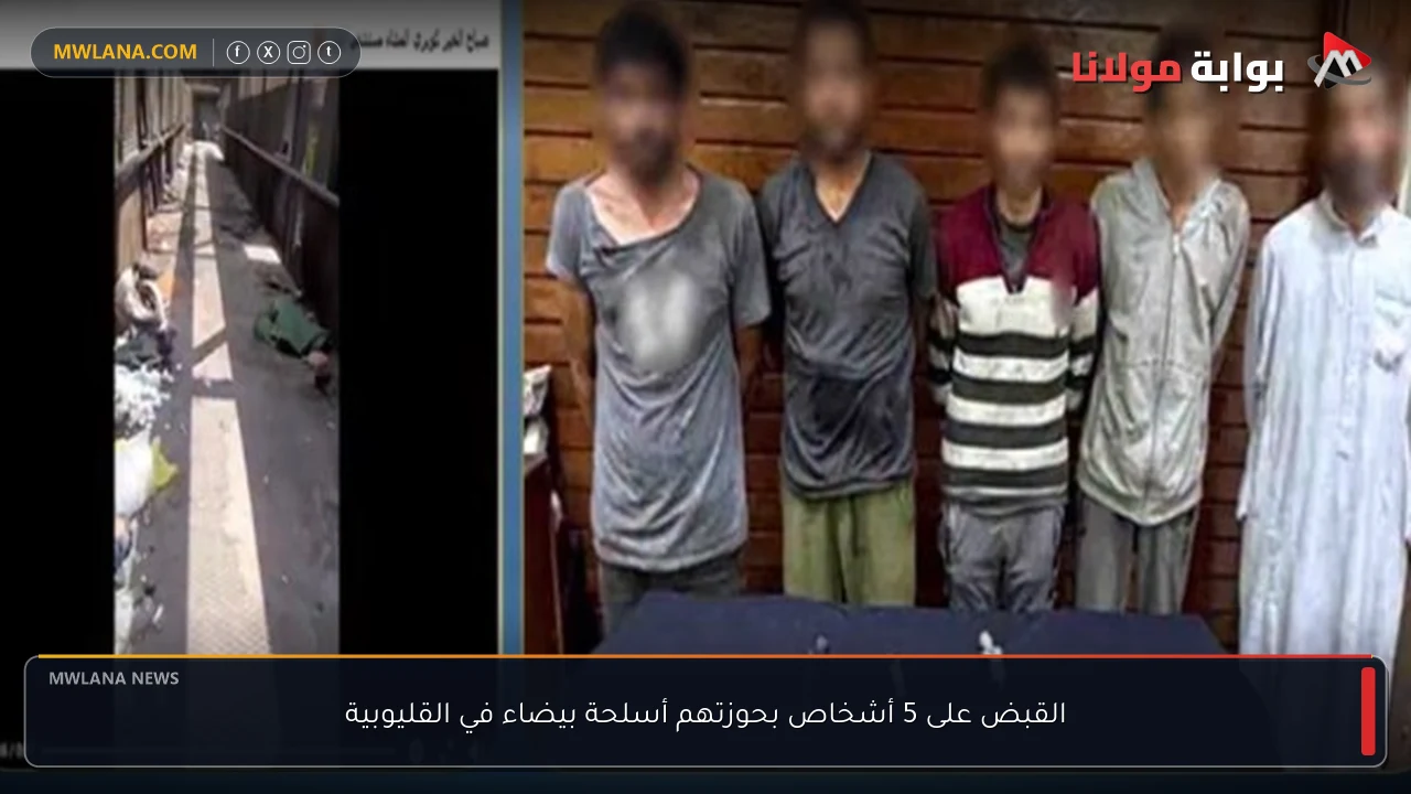 القبض على 5 أشخاص بحوزتهم أسلحة بيضاء في القليوبية