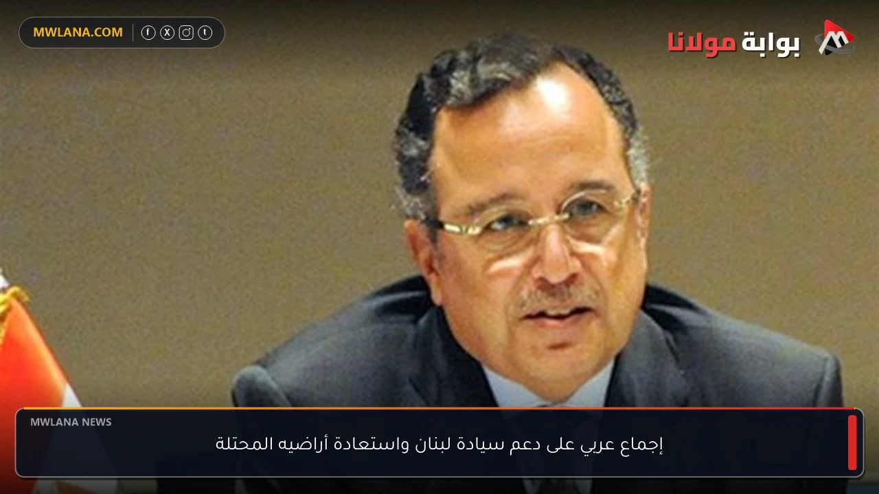 إجماع عربي على دعم سيادة لبنان واستعادة أراضيه المحتلة