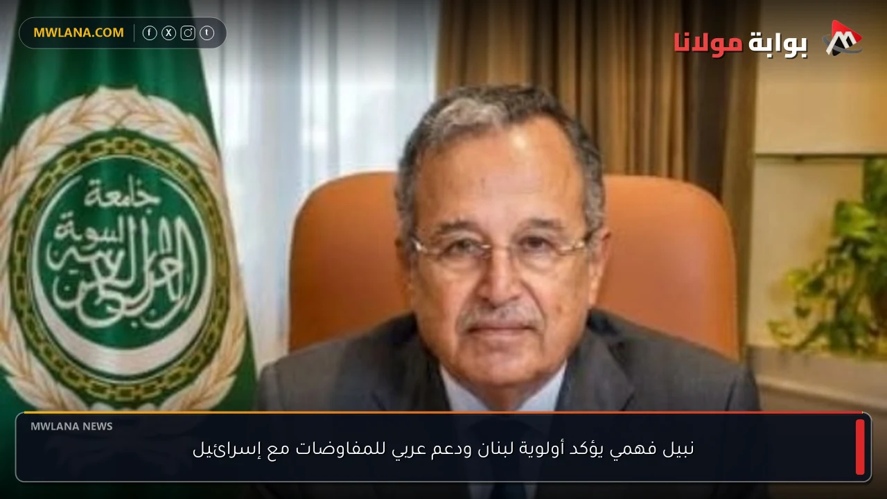 نبيل فهمي يؤكد أولوية لبنان ودعم عربي للمفاوضات مع إسرائيل