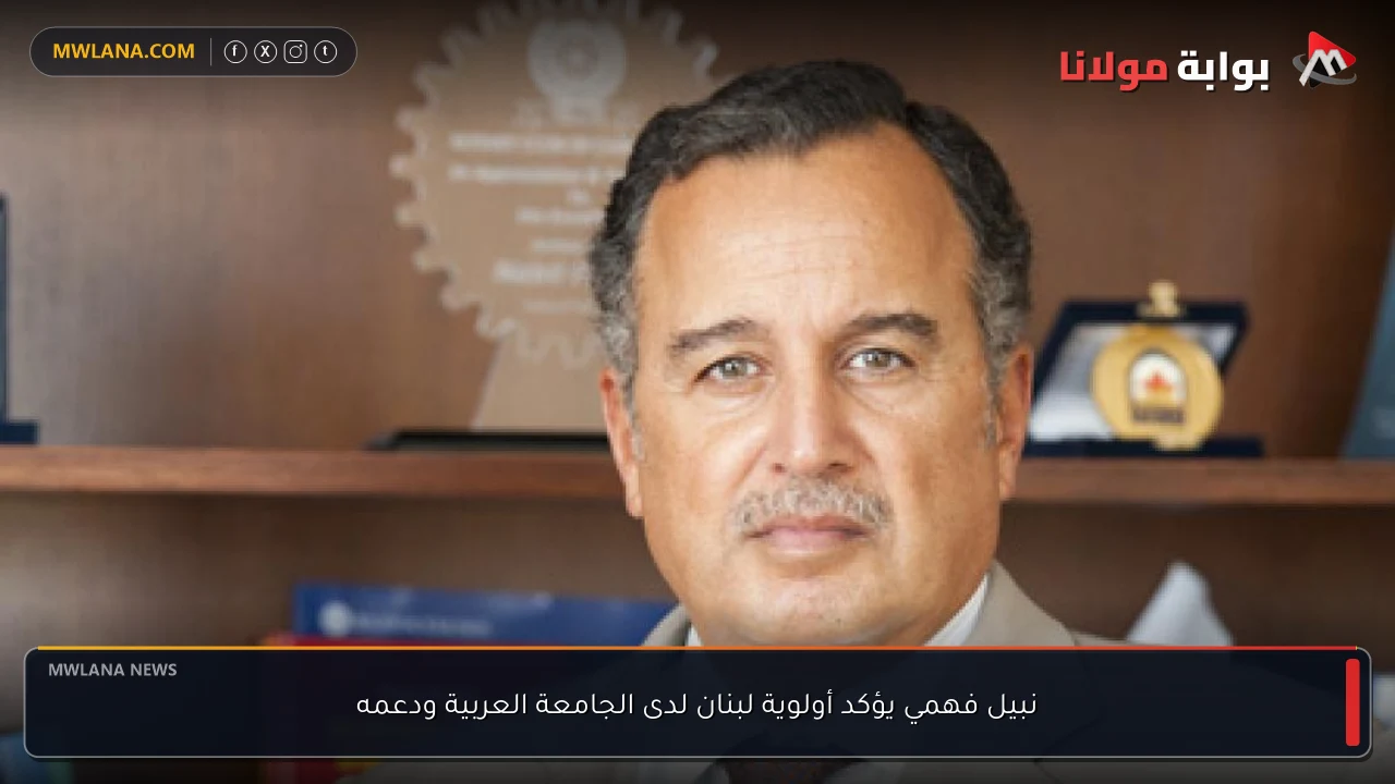 نبيل فهمي يؤكد أولوية لبنان لدى الجامعة العربية ودعمه