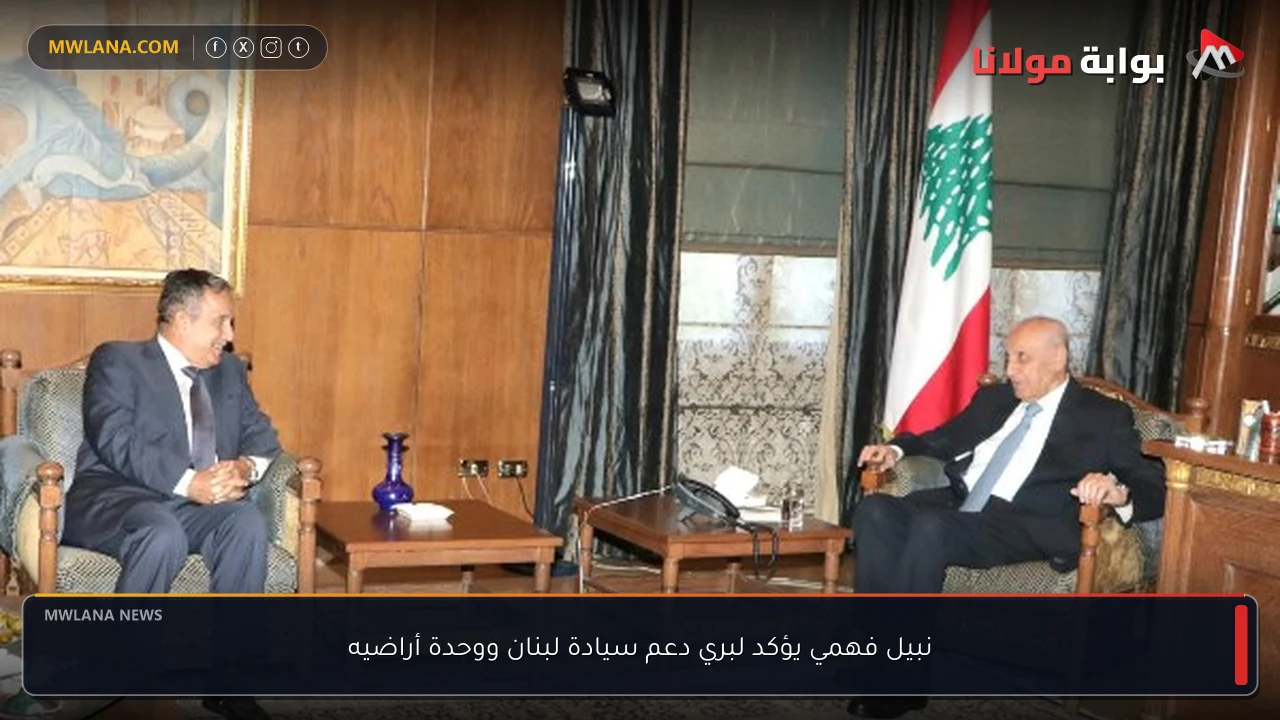 نبيل فهمي يؤكد لبري دعم سيادة لبنان ووحدة أراضيه