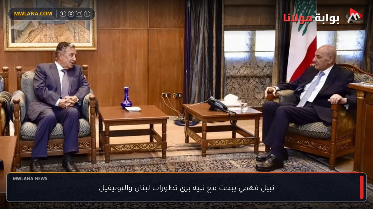 نبيل فهمي يبحث مع نبيه بري تطورات لبنان واليونيفيل