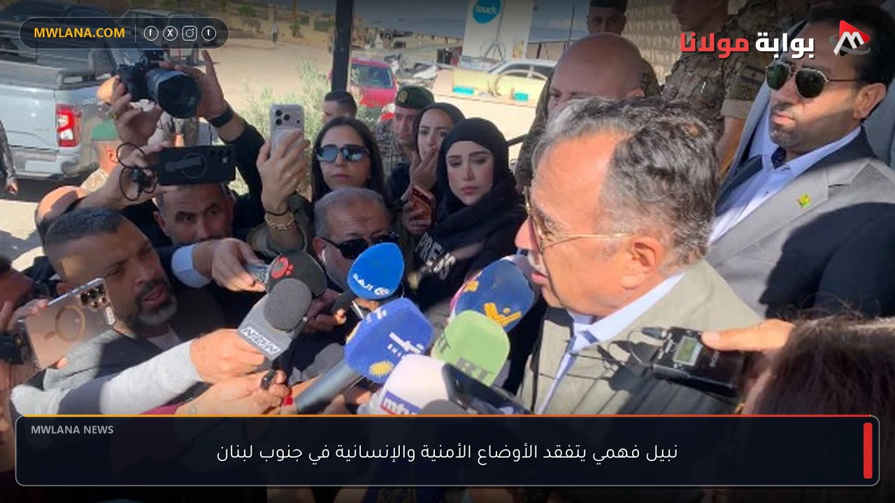 نبيل فهمي يتفقد الأوضاع الأمنية والإنسانية في جنوب لبنان
