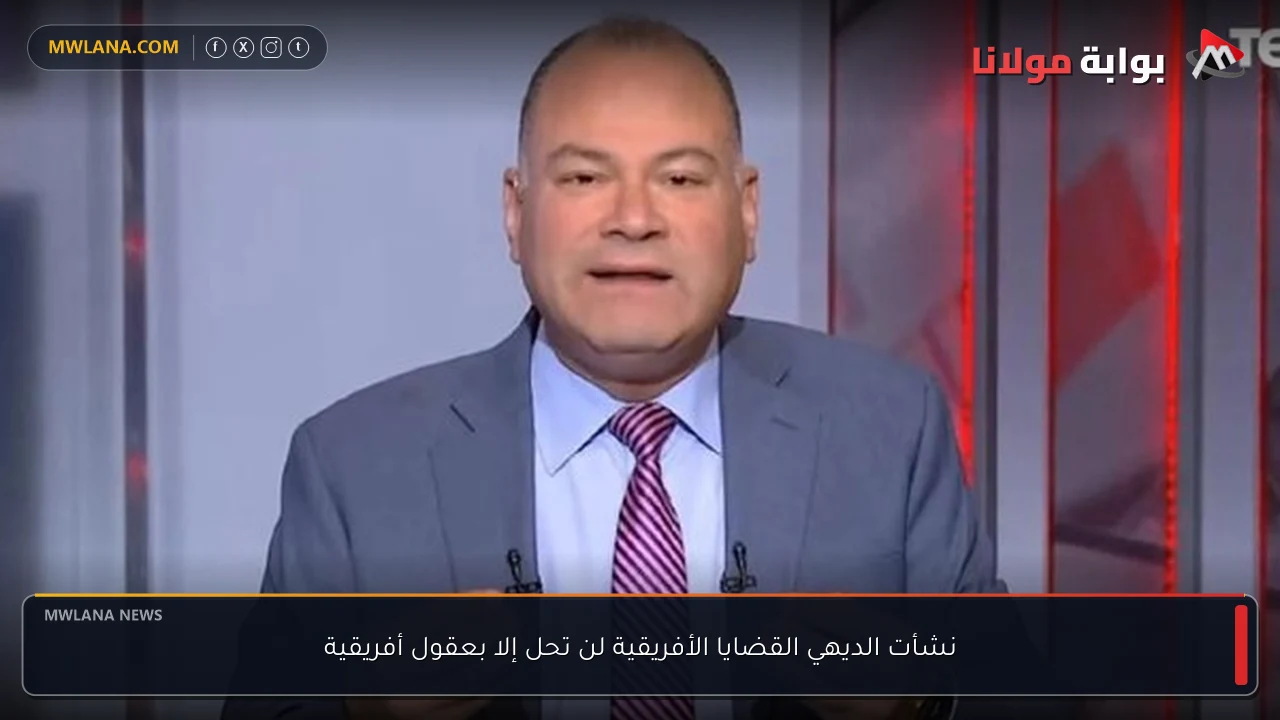 نشأت الديهي القضايا الأفريقية لن تحل إلا بعقول أفريقية