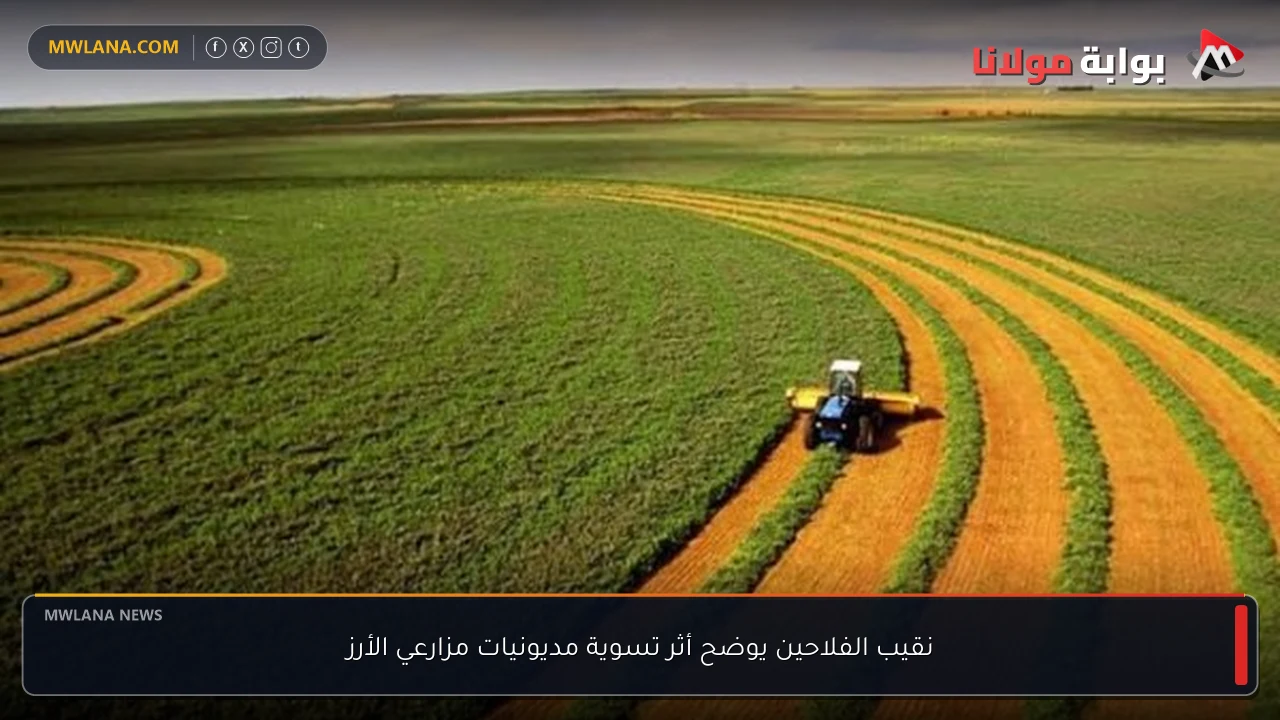 نقيب الفلاحين يوضح أثر تسوية مديونيات مزارعي الأرز