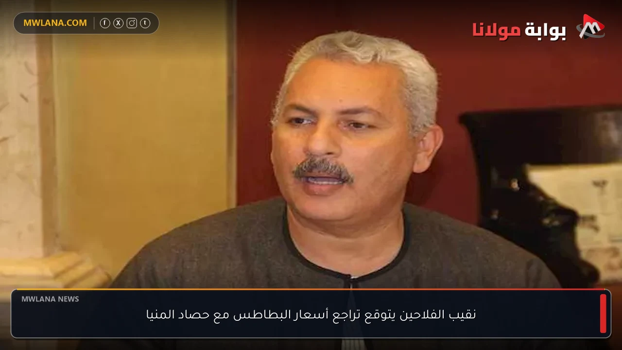 نقيب الفلاحين يتوقع تراجع أسعار البطاطس مع حصاد المنيا
