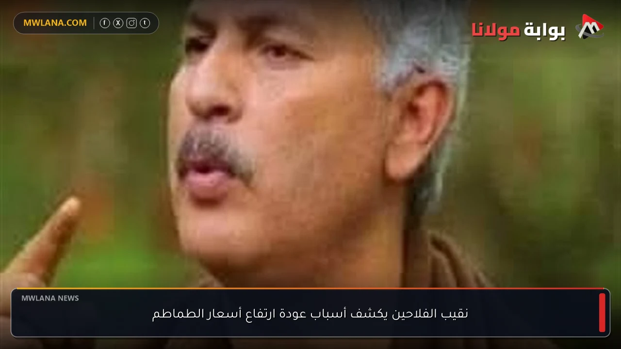 نقيب الفلاحين يكشف أسباب عودة ارتفاع أسعار الطماطم