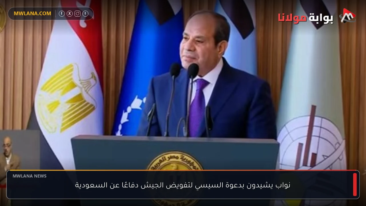 نواب يشيدون بدعوة السيسي لتفويض الجيش دفاعًا عن السعودية