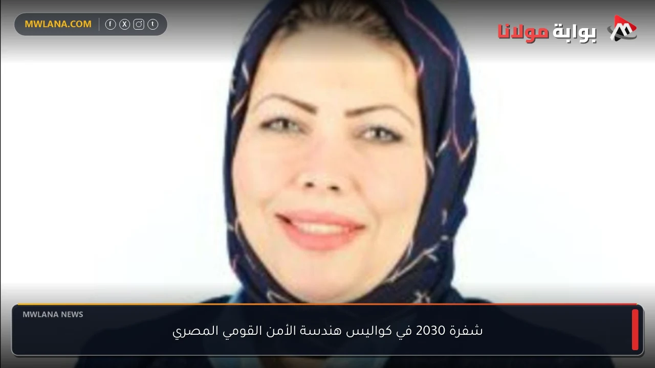 شفرة 2030 في كواليس هندسة الأمن القومي المصري