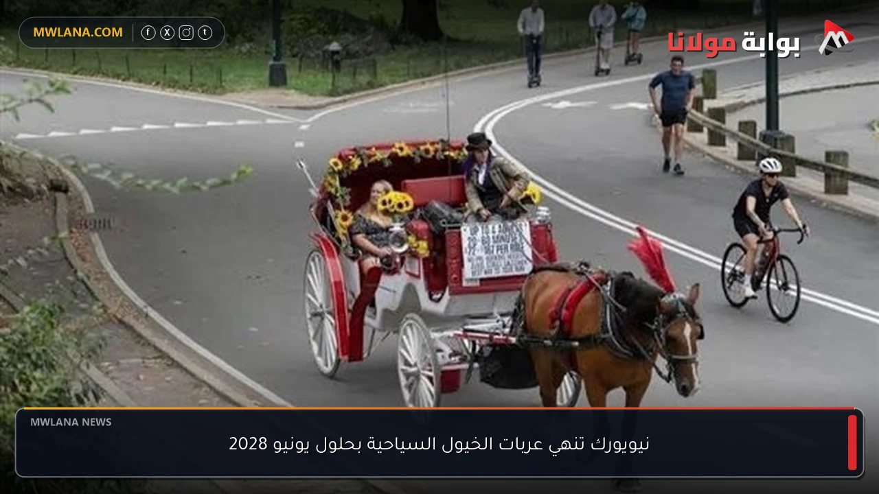 نيويورك تنهي عربات الخيول السياحية بحلول يونيو 2028