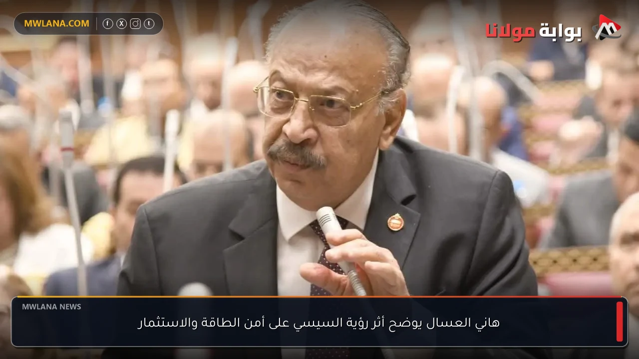 هاني العسال يوضح أثر رؤية السيسي على أمن الطاقة والاستثمار