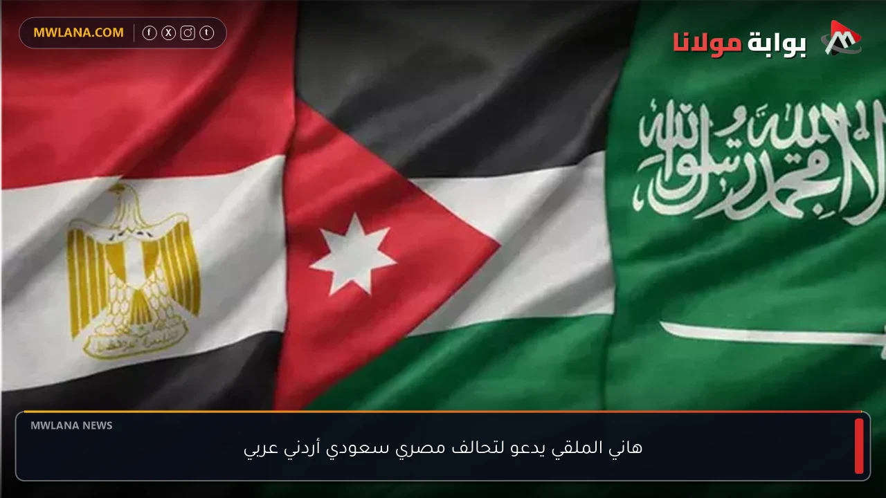 هاني الملقي يدعو لتحالف مصري سعودي أردني عربي