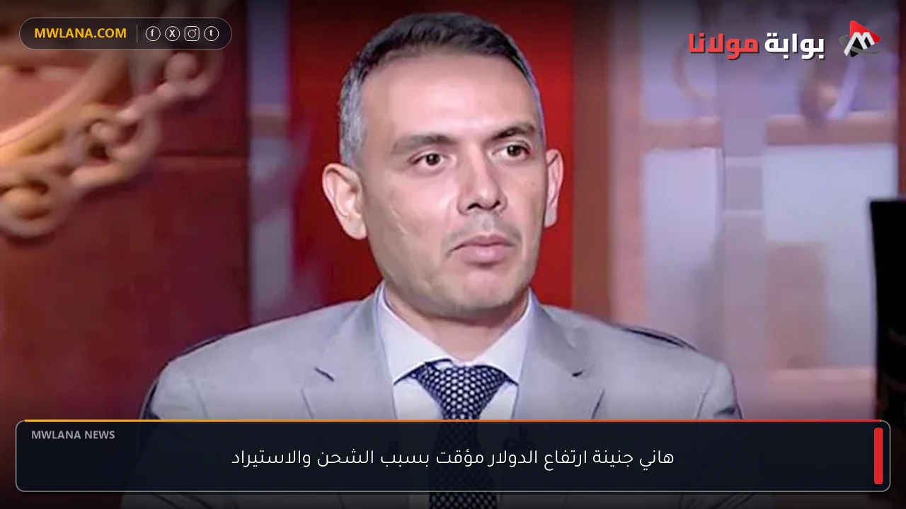 هاني جنينة ارتفاع الدولار مؤقت بسبب الشحن والاستيراد