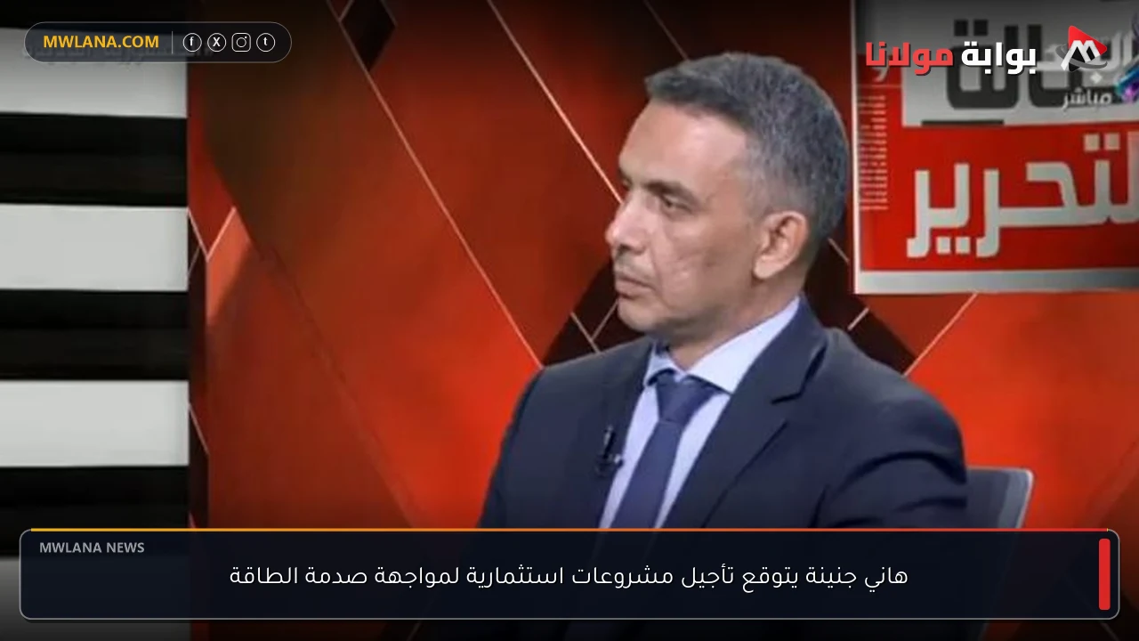 هاني جنينة يتوقع تأجيل مشروعات استثمارية لمواجهة صدمة الطاقة