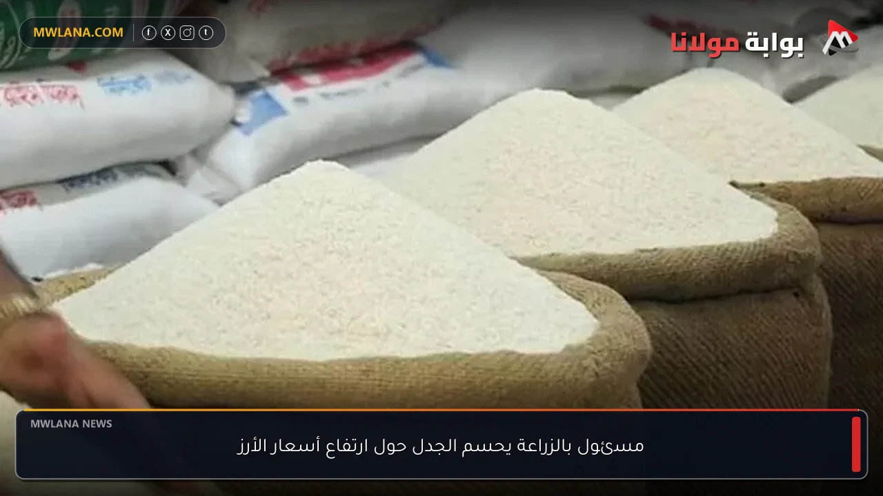 مسئول بالزراعة يحسم الجدل حول ارتفاع أسعار الأرز