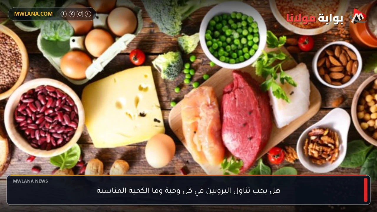 هل يجب تناول البروتين في كل وجبة وما الكمية المناسبة