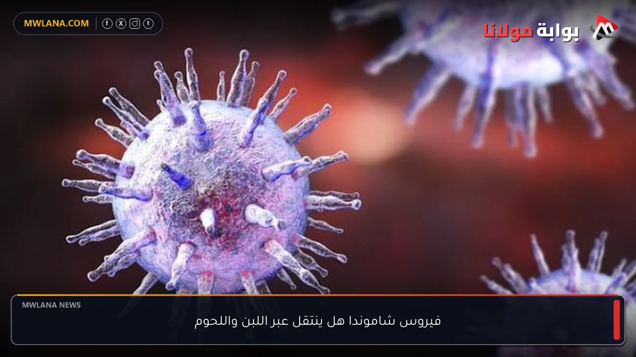 فيروس شاموندا هل ينتقل عبر اللبن واللحوم