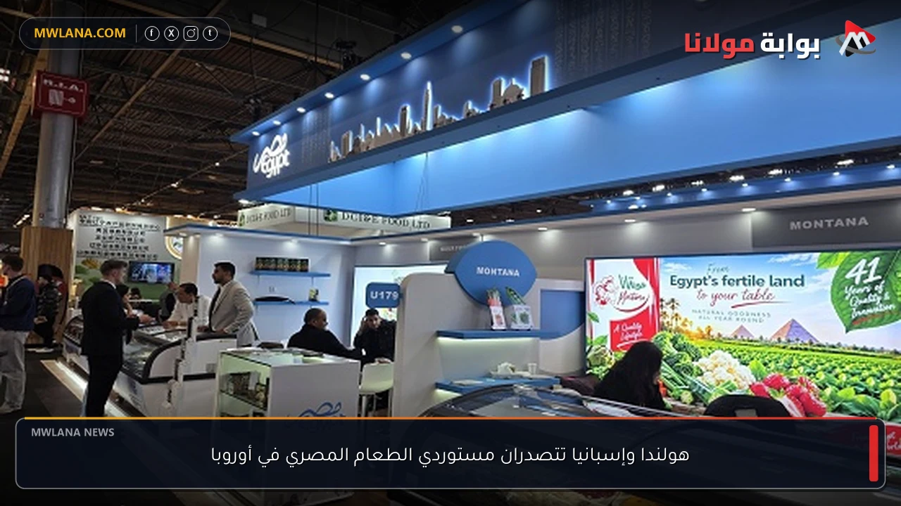 هولندا وإسبانيا تتصدران مستوردي الطعام المصري في أوروبا