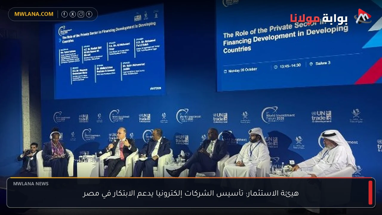 هيئة الاستثمار: تأسيس الشركات إلكترونيا يدعم الابتكار في مصر