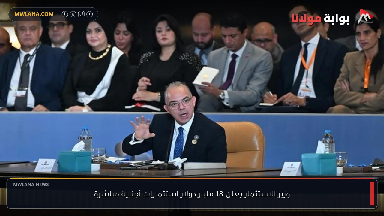 وزير الاستثمار يعلن 18 مليار دولار استثمارات أجنبية مباشرة