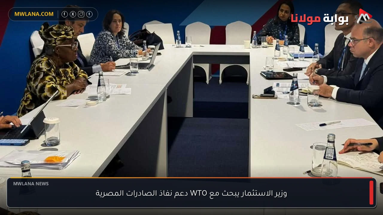 وزير الاستثمار يبحث مع WTO دعم نفاذ الصادرات المصرية