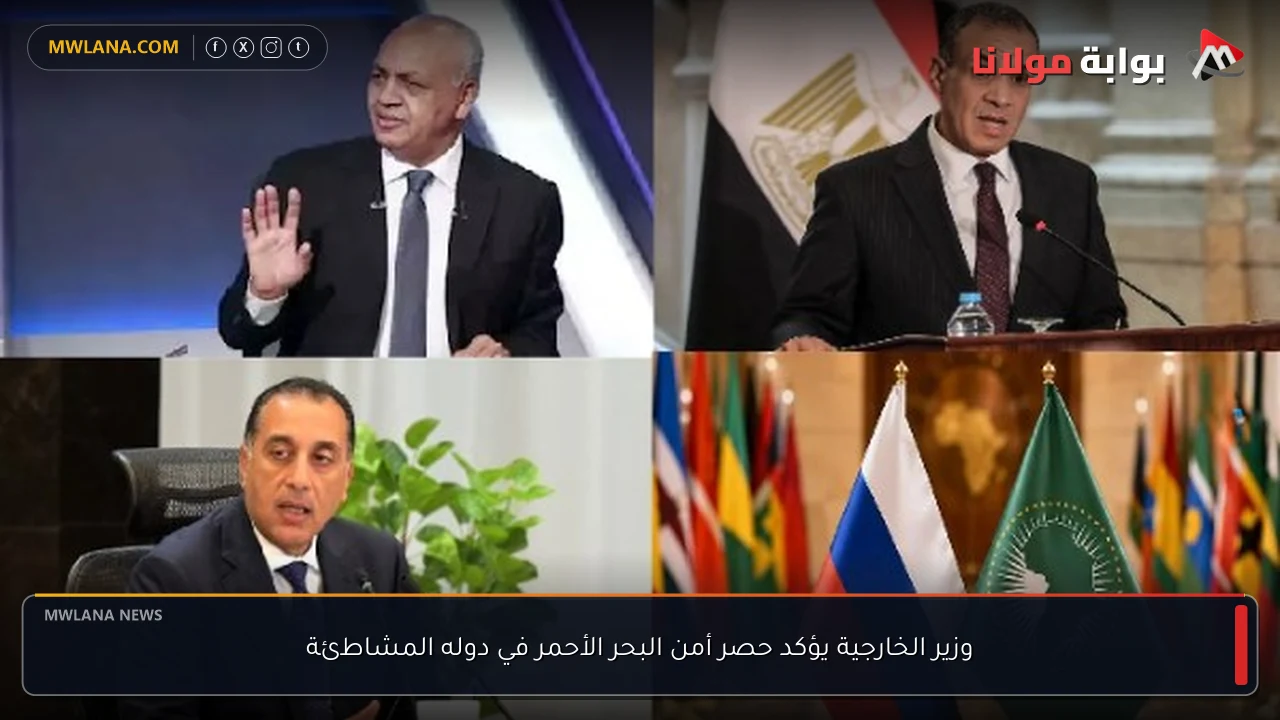 وزير الخارجية يؤكد حصر أمن البحر الأحمر في دوله المشاطئة