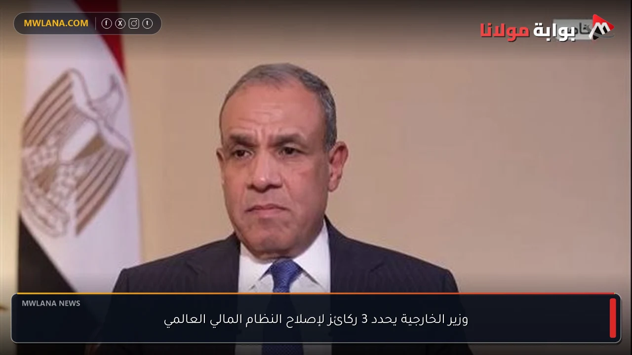 وزير الخارجية يحدد 3 ركائز لإصلاح النظام المالي العالمي