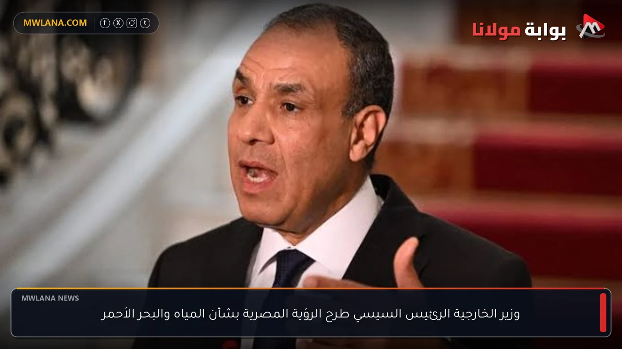 وزير الخارجية الرئيس السيسي طرح الرؤية المصرية بشأن المياه والبحر الأحمر