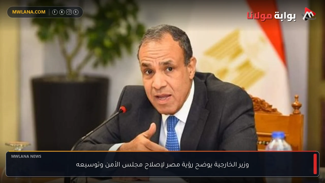 وزير الخارجية يوضح رؤية مصر لإصلاح مجلس الأمن وتوسيعه