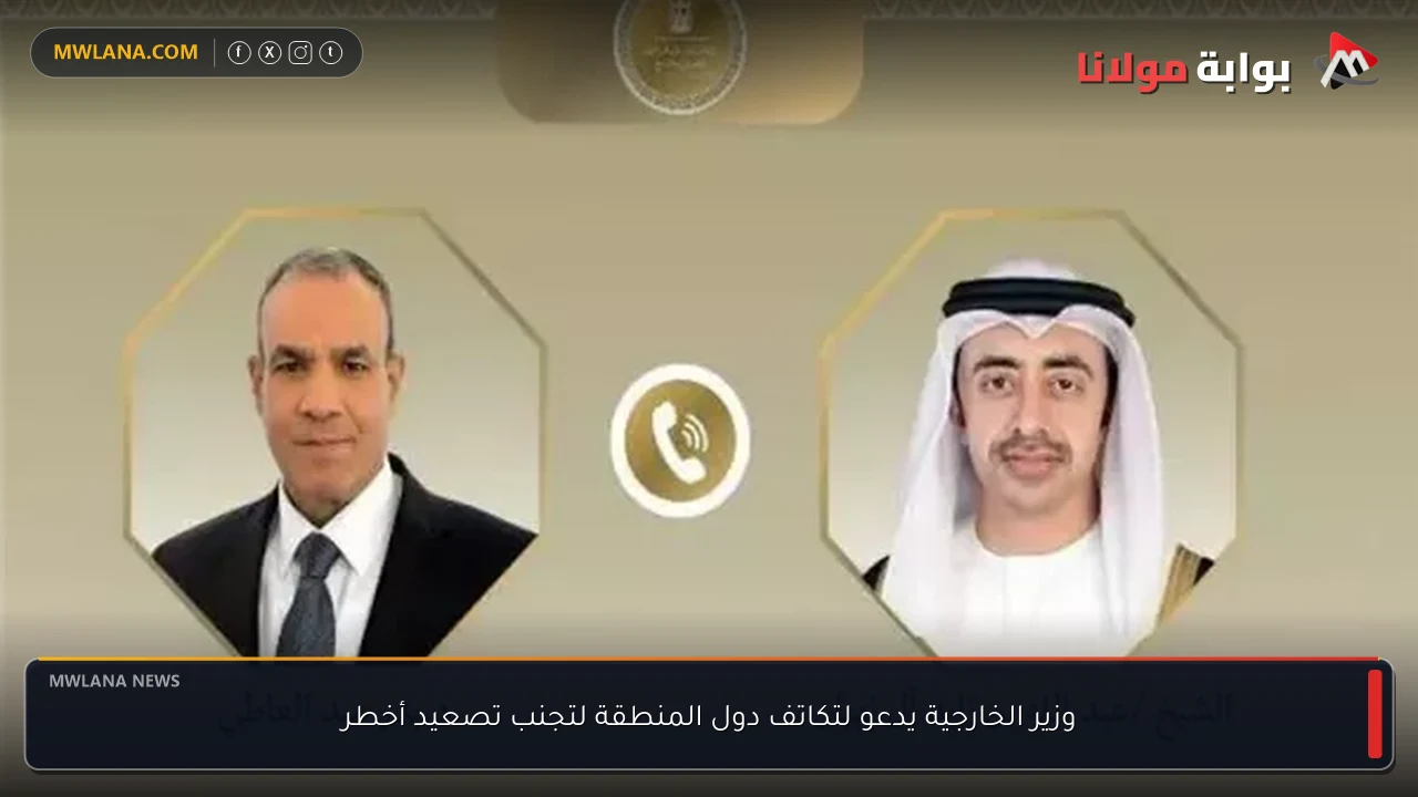 وزير الخارجية يدعو لتكاتف دول المنطقة لتجنب تصعيد أخطر