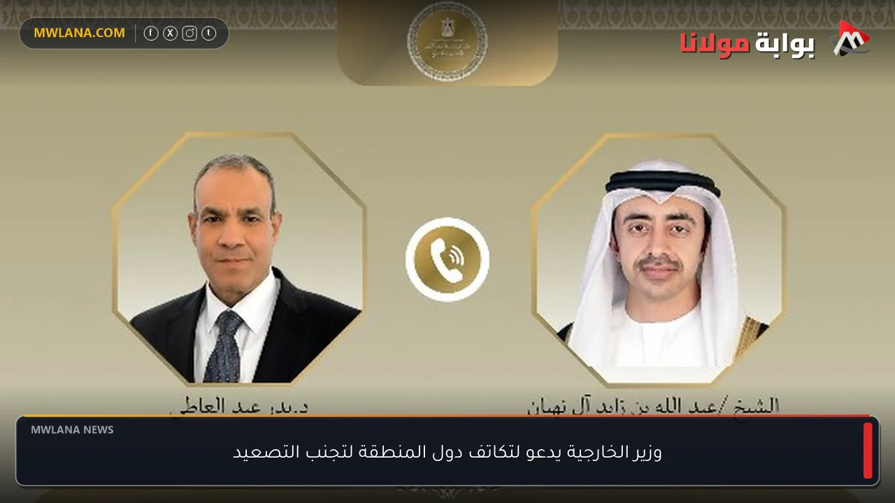 وزير الخارجية يدعو لتكاتف دول المنطقة لتجنب التصعيد