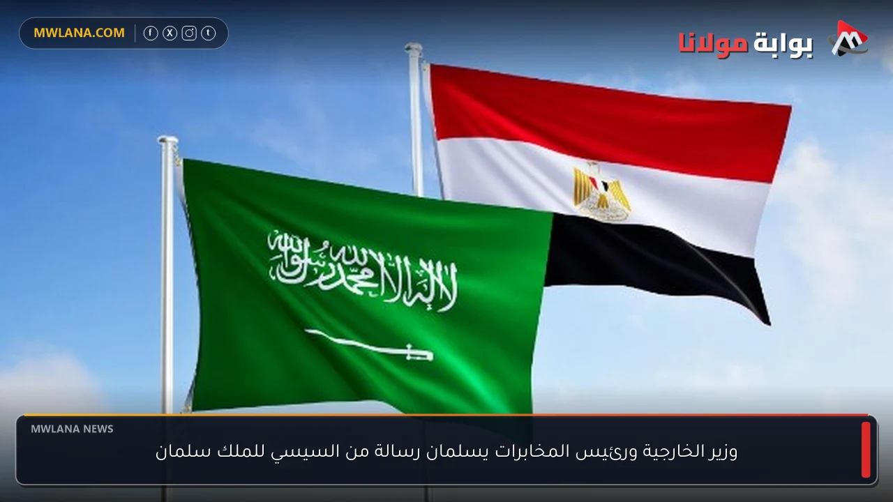 وزير الخارجية ورئيس المخابرات يسلمان رسالة من السيسي للملك سلمان