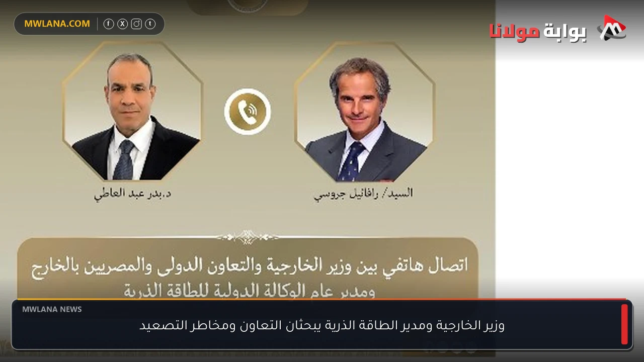 وزير الخارجية ومدير الطاقة الذرية يبحثان التعاون ومخاطر التصعيد
