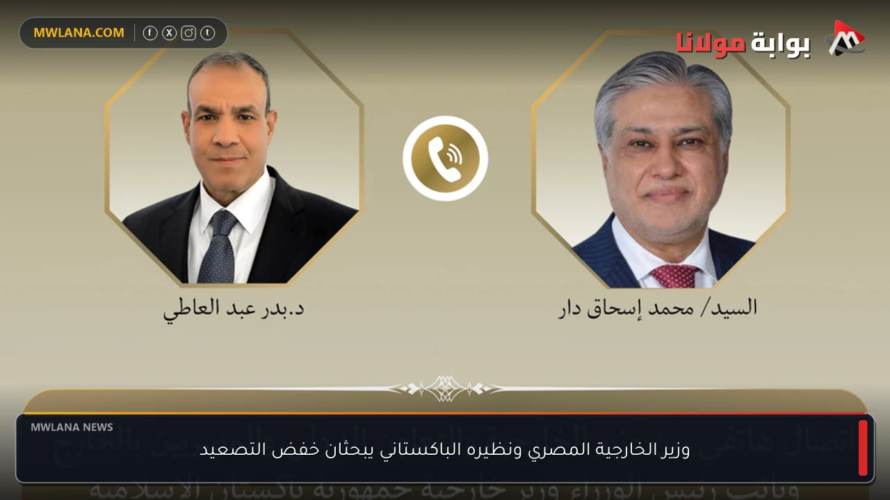 وزير الخارجية المصري ونظيره الباكستاني يبحثان خفض التصعيد