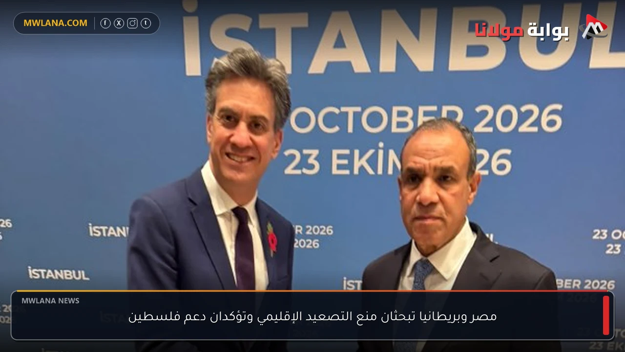 مصر وبريطانيا تبحثان منع التصعيد الإقليمي وتؤكدان دعم فلسطين