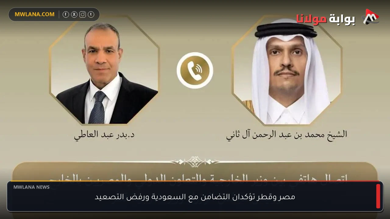 مصر وقطر تؤكدان التضامن مع السعودية ورفض التصعيد