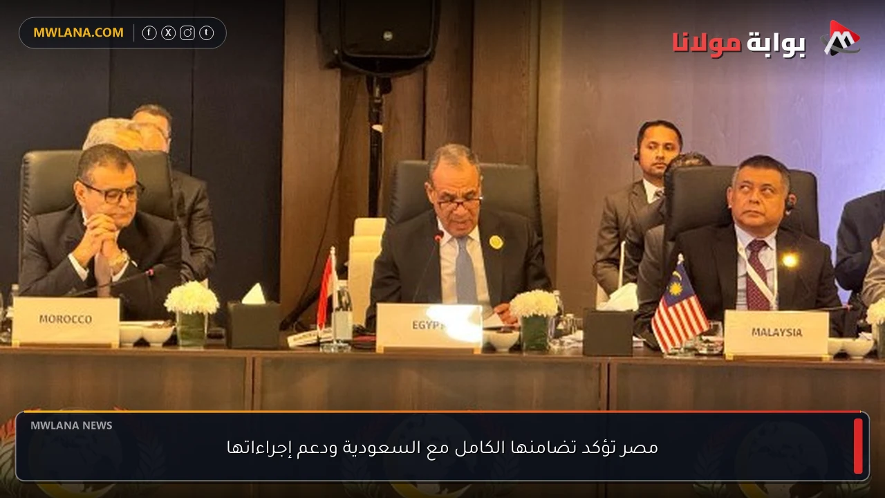مصر تؤكد تضامنها الكامل مع السعودية ودعم إجراءاتها