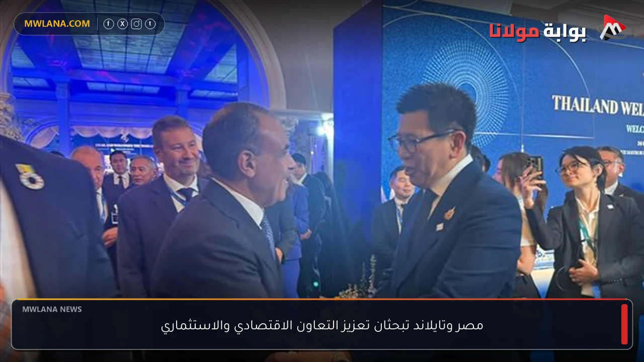 مصر وتايلاند تبحثان تعزيز التعاون الاقتصادي والاستثماري